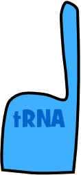 tRNA