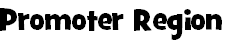 Promoter Region