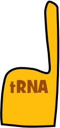 tRNA